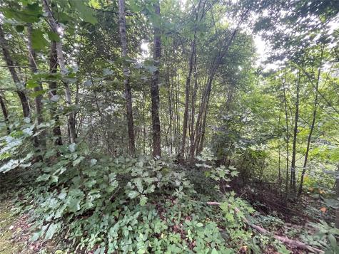 00 Friendly Acres Drive Waynesville NC 28786