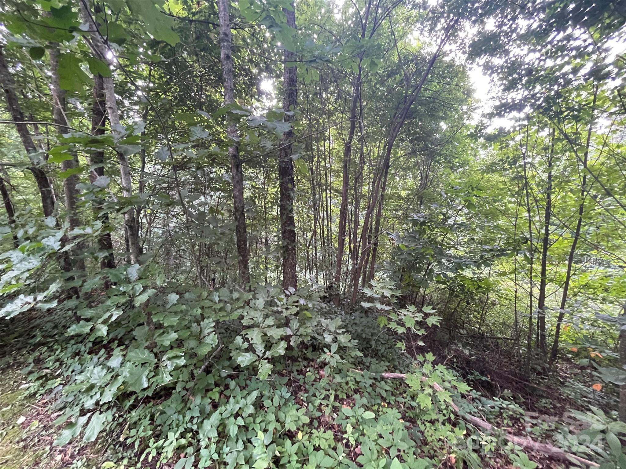 00 Friendly Acres Drive Waynesville NC 28786