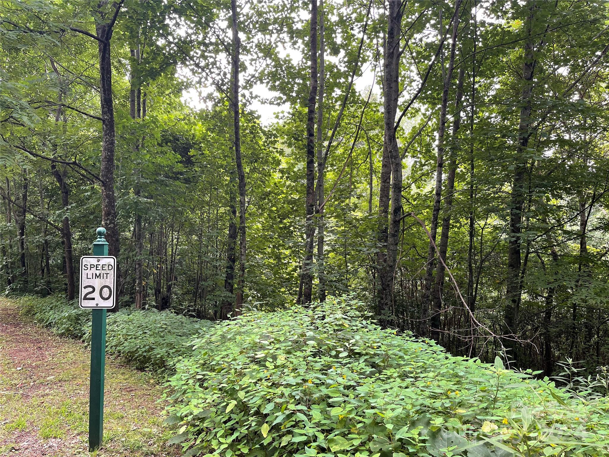 00 Friendly Acres Drive Waynesville NC 28786