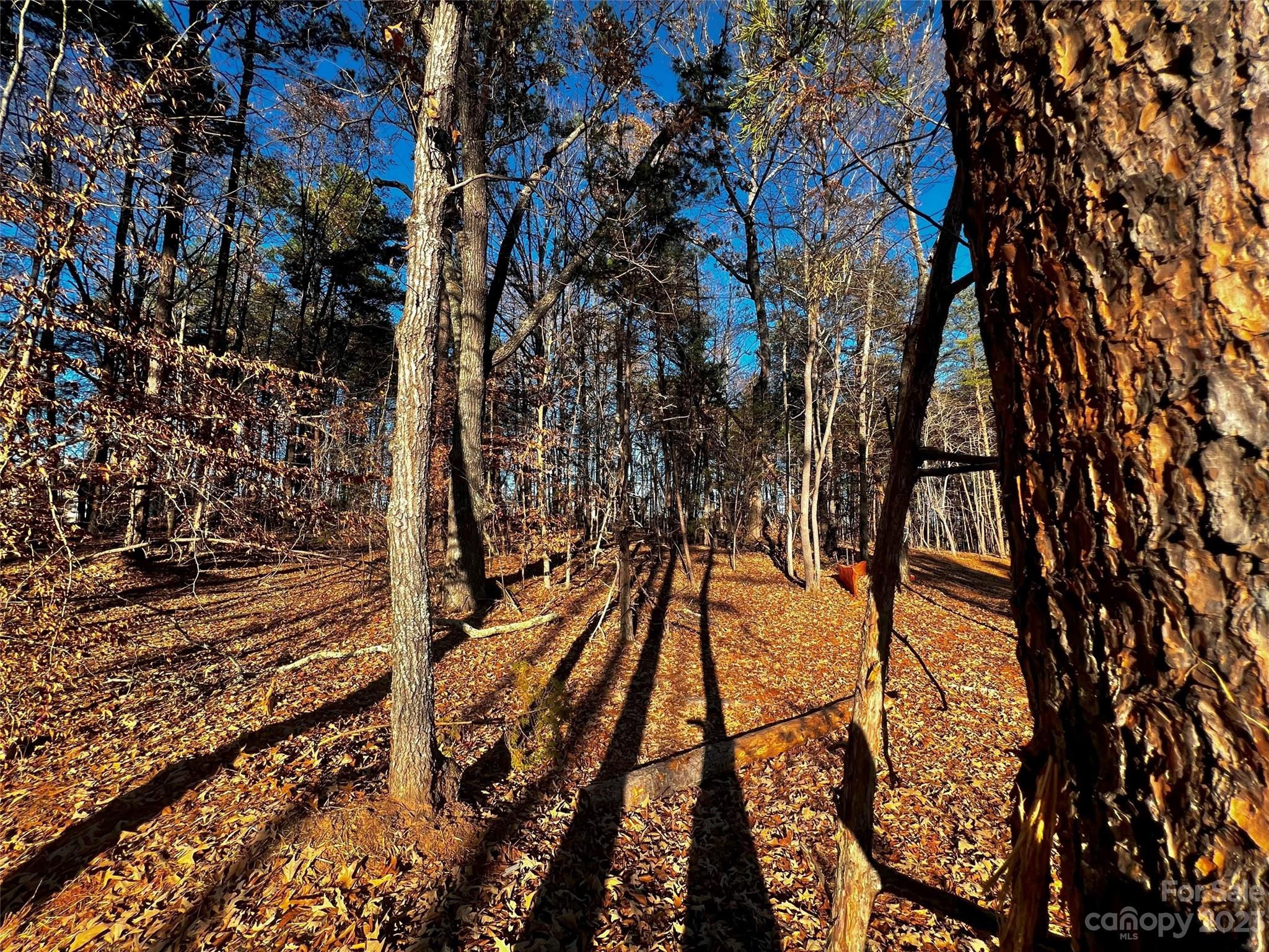123 Hunt Camp Trail Davidson NC 28036