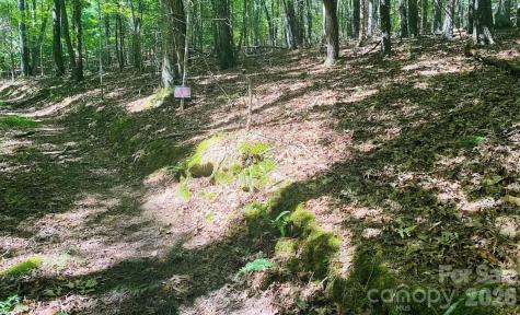 919 Panther Top Road Murphy NC 28906