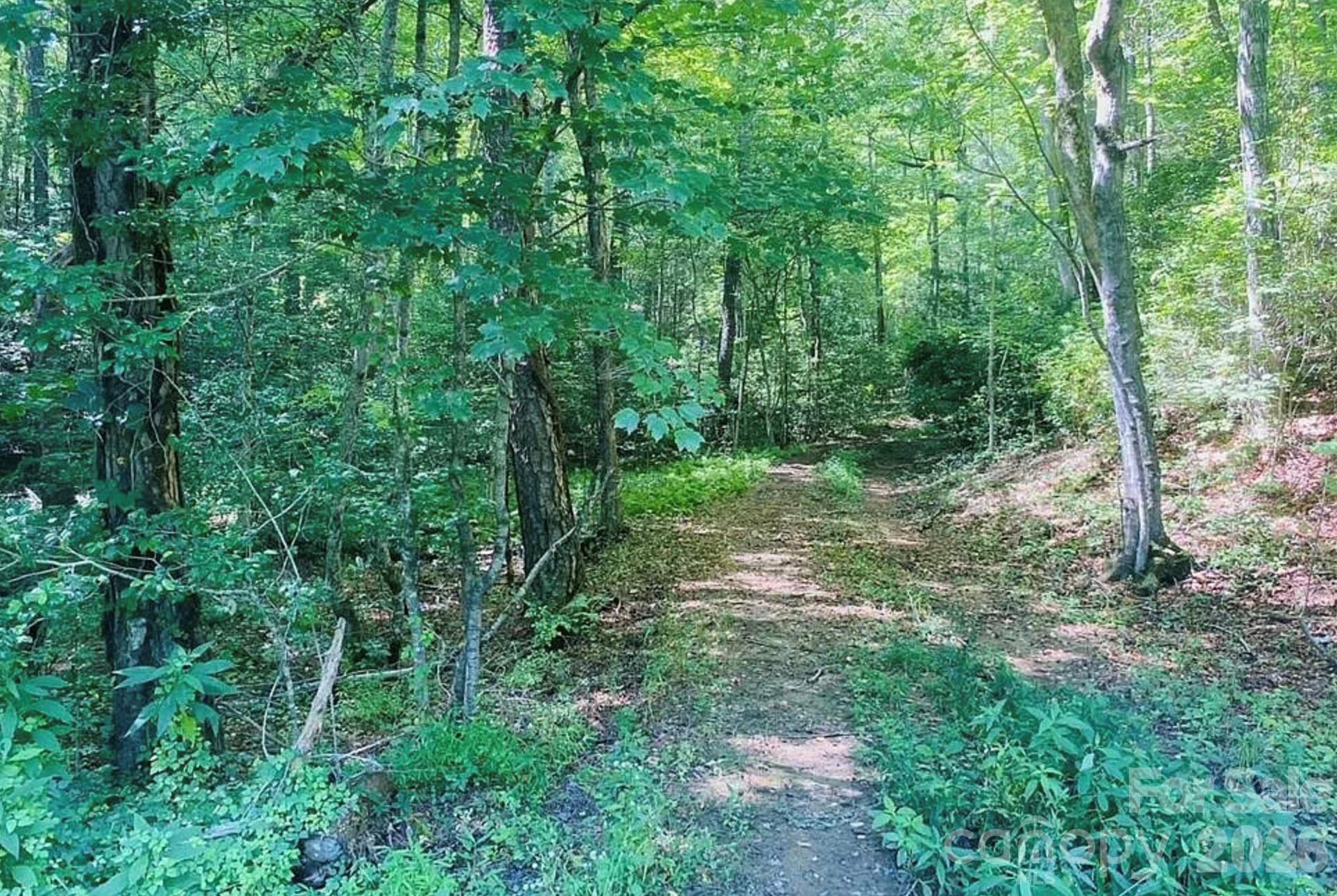 919 Panther Top Road Murphy NC 28906