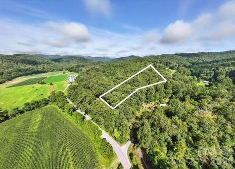0000 Mullinax Cove Road Mills River NC 28759