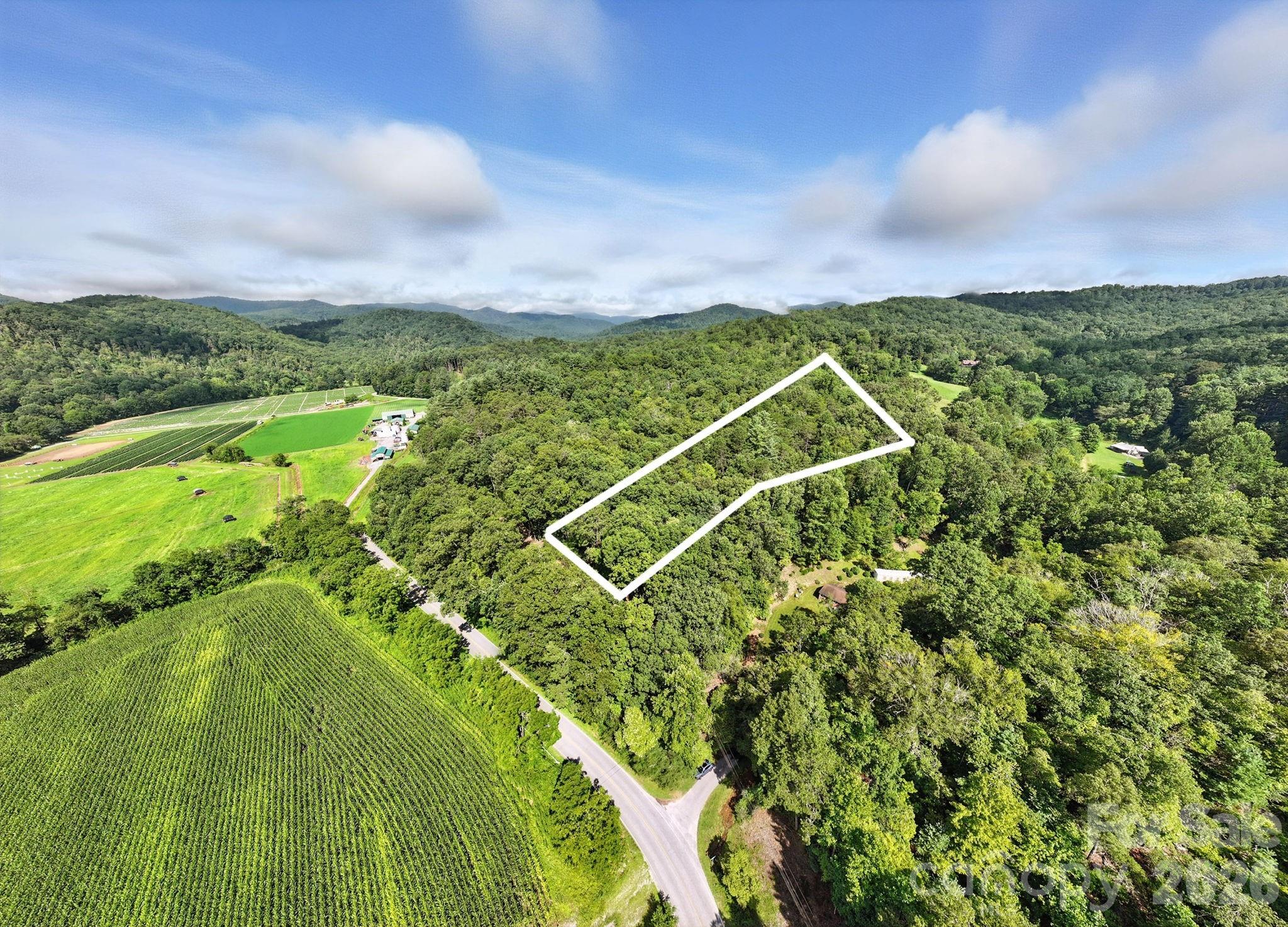 0000 Mullinax Cove Road Mills River NC 28759