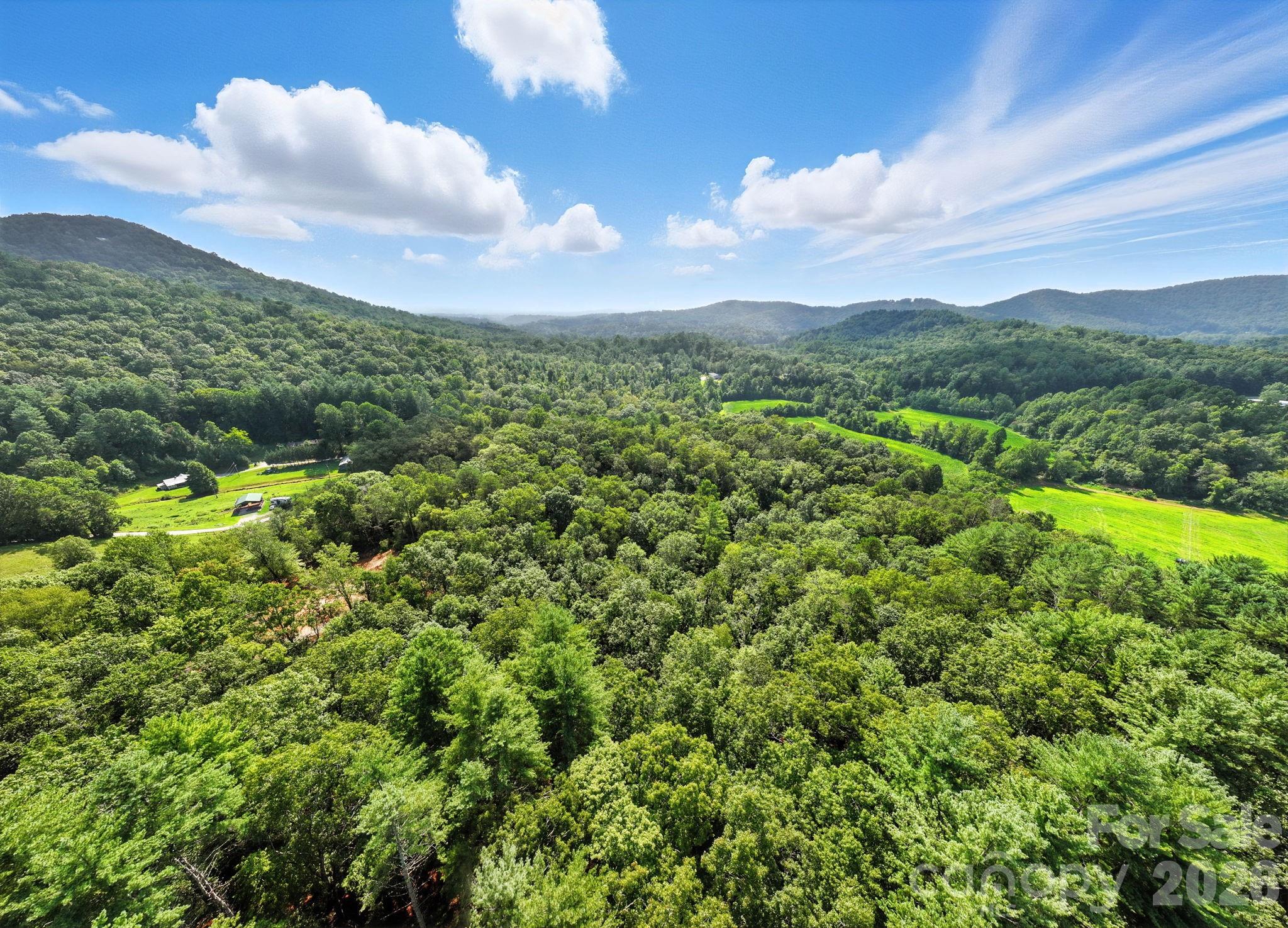 0000 Mullinax Cove Road Mills River NC 28759