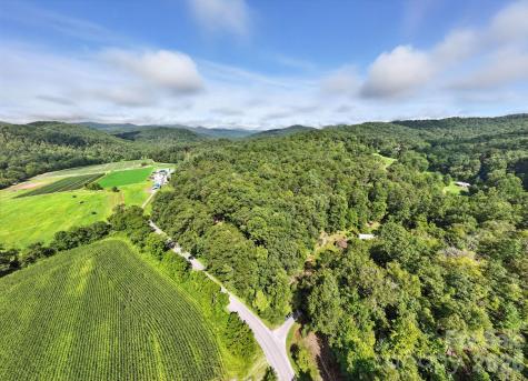 0000 Mullinax Cove Road Mills River NC 28759