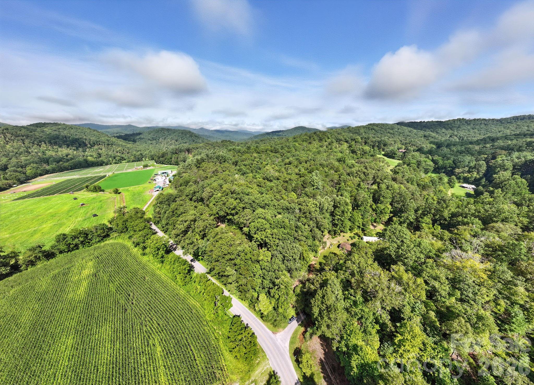 0000 Mullinax Cove Road Mills River NC 28759