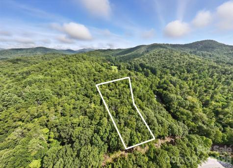 0000 Mullinax Cove Road Mills River NC 28759