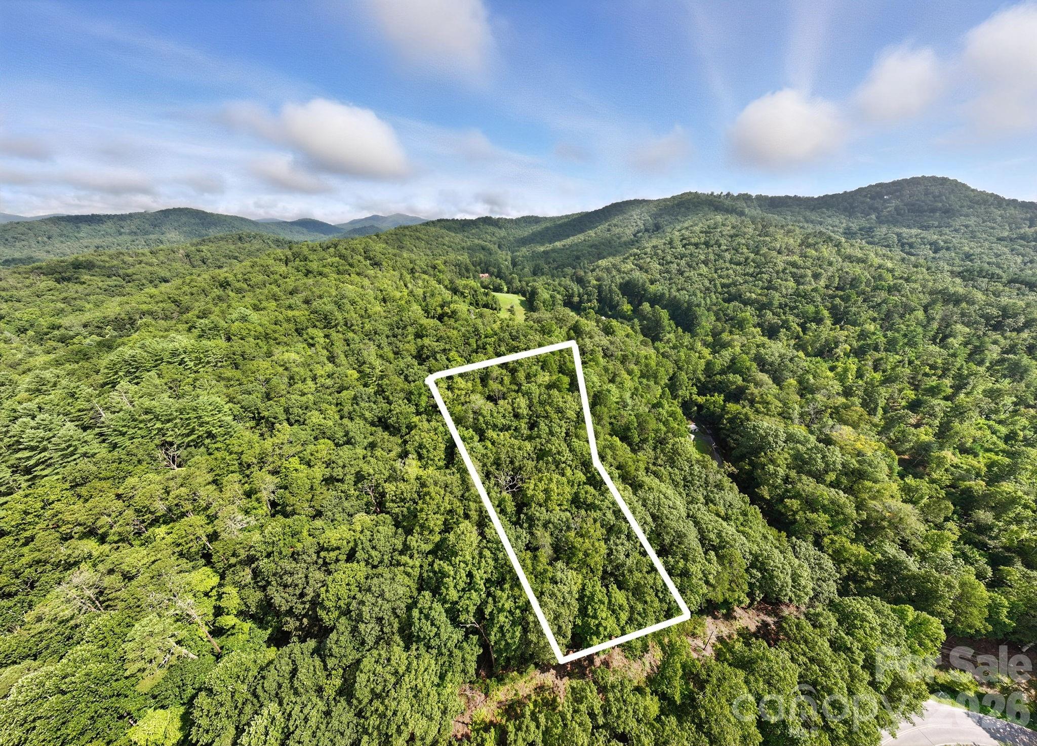 0000 Mullinax Cove Road Mills River NC 28759