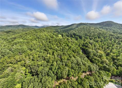 0000 Mullinax Cove Road Mills River NC 28759