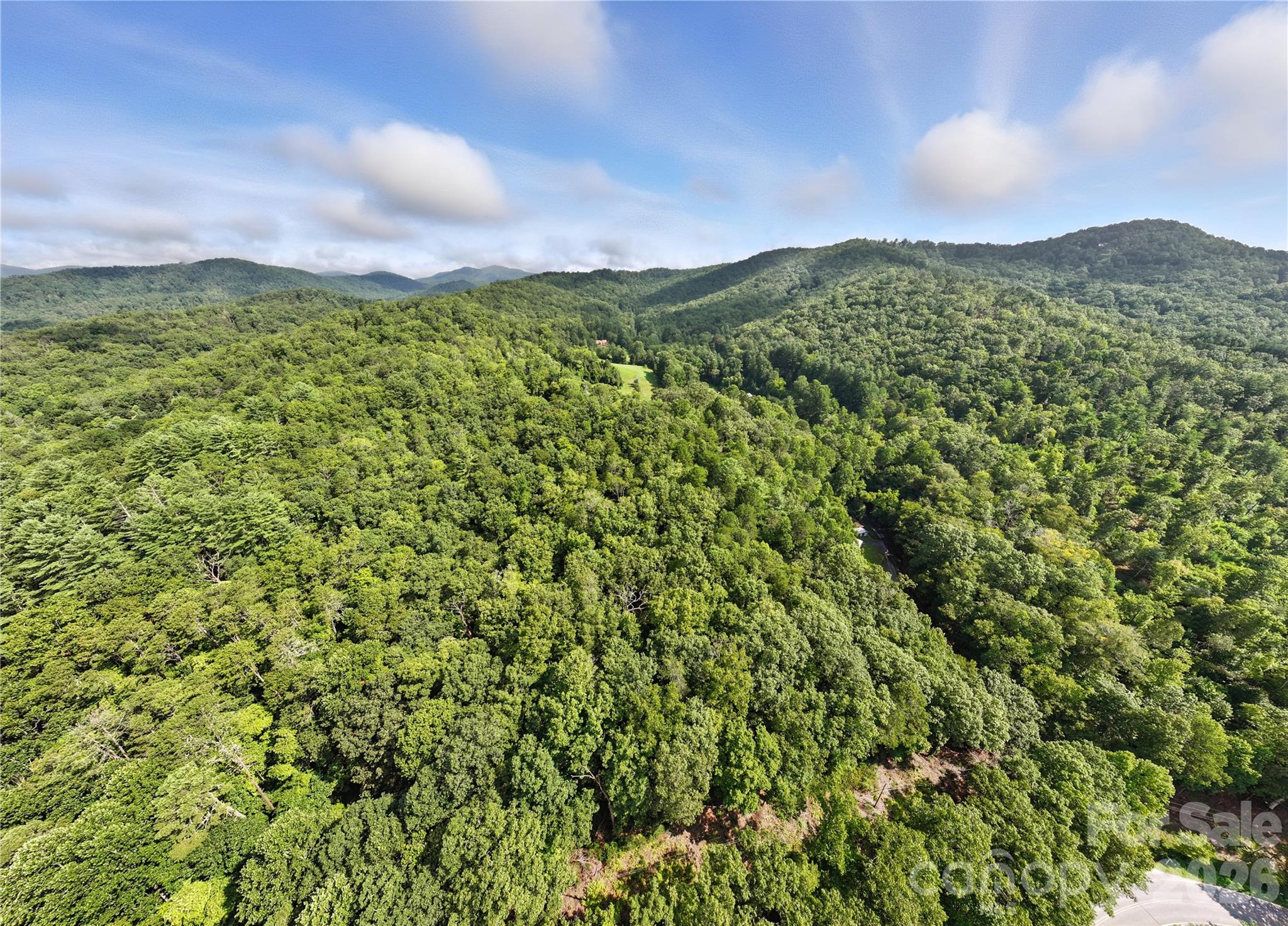 0000 Mullinax Cove Road Mills River NC 28759