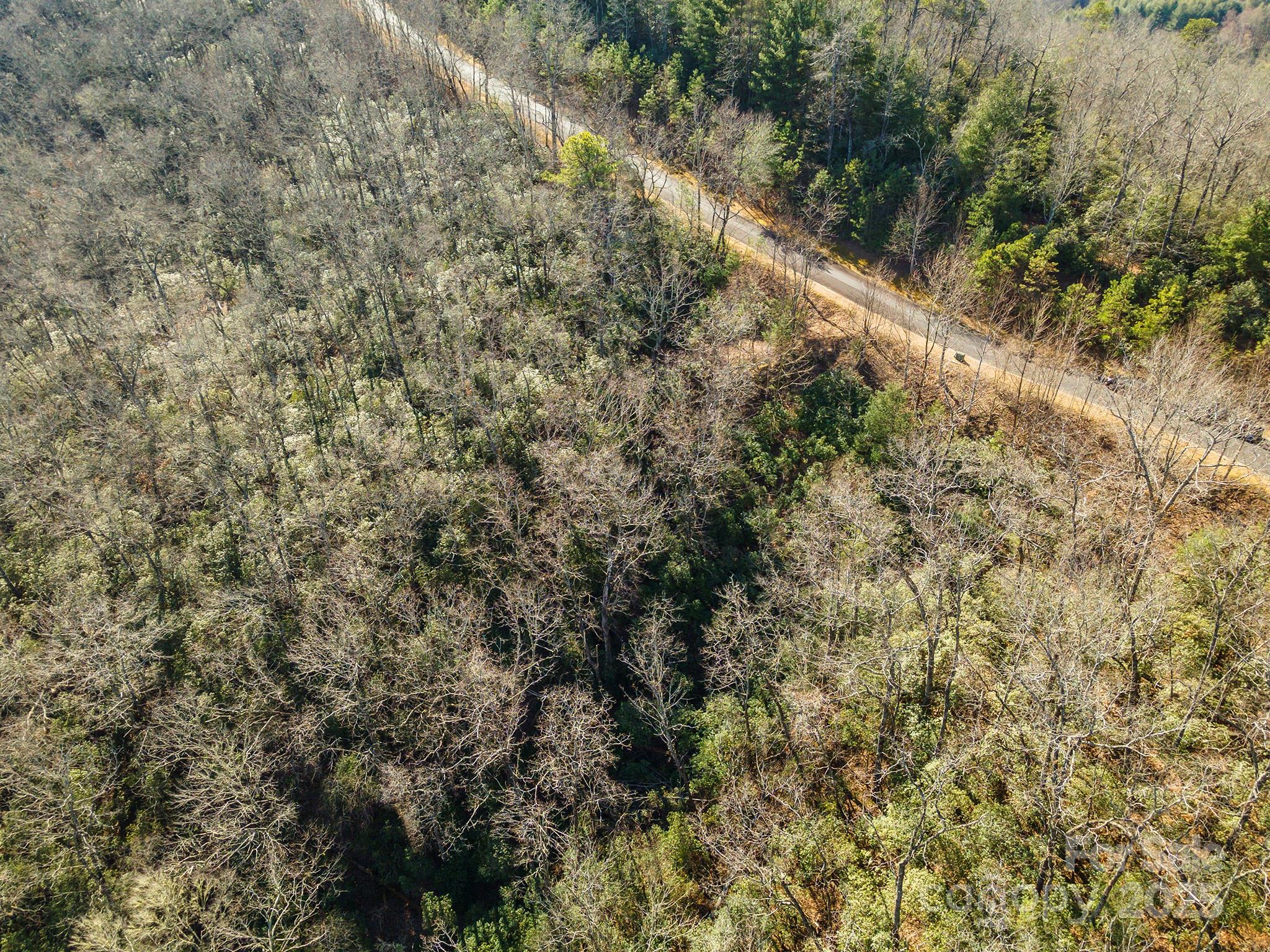 99999 Mills River Way Horse Shoe NC 28742