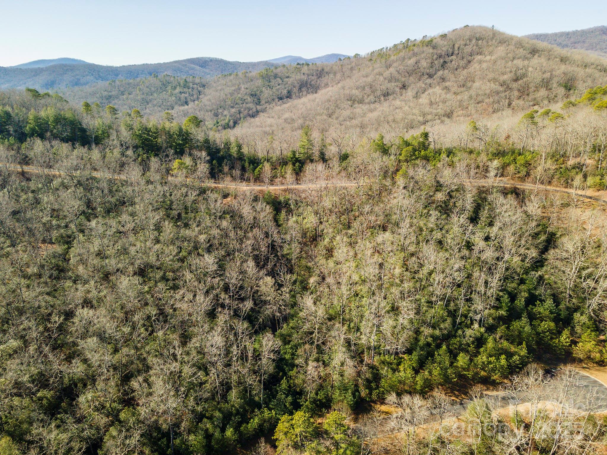 99999 Mills River Way Horse Shoe NC 28742