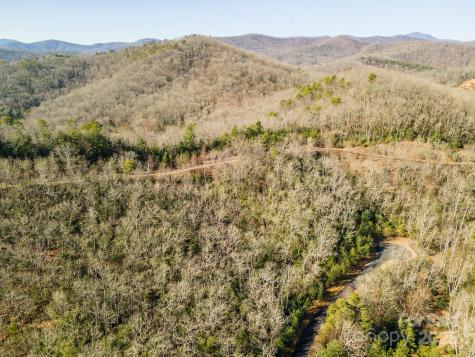 99999 Mills River Way Horse Shoe NC 28742