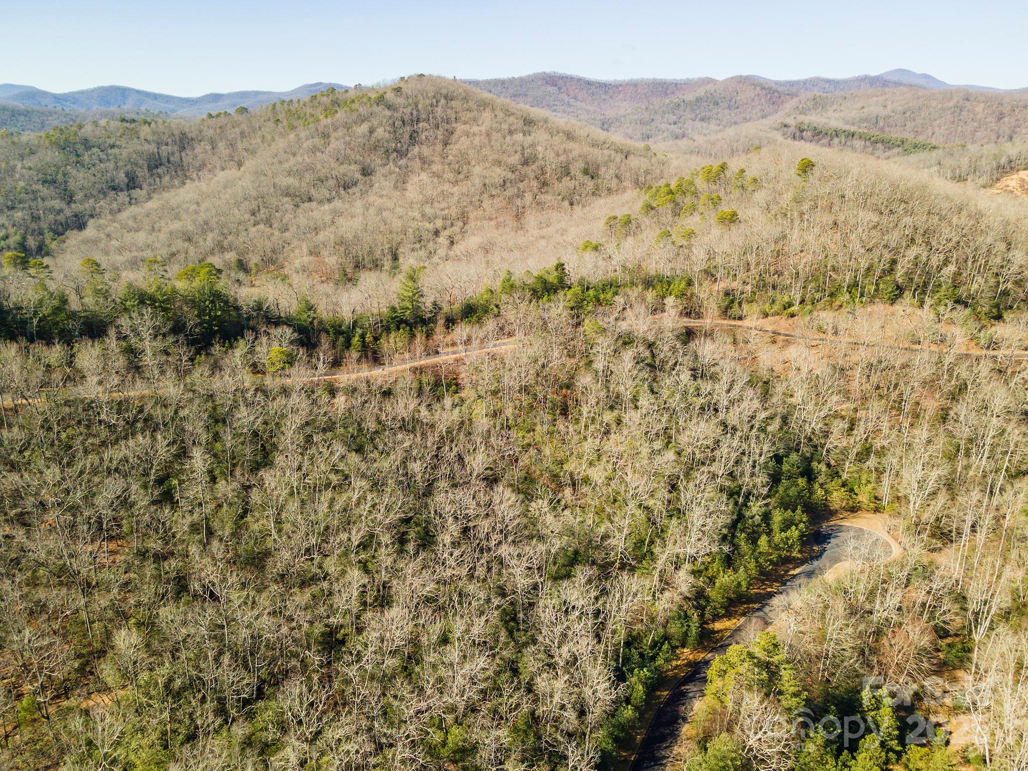99999 Mills River Way Horse Shoe NC 28742