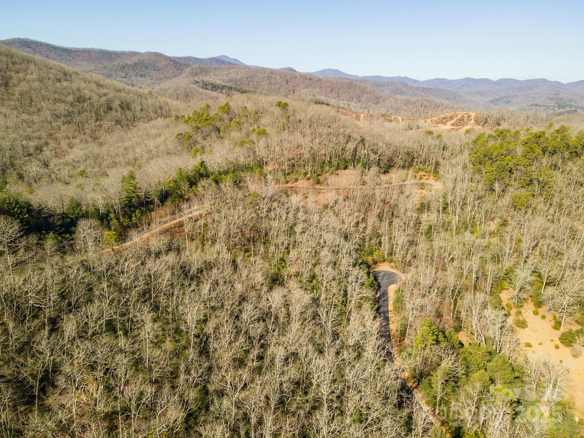 99999 Mills River Way Horse Shoe NC 28742