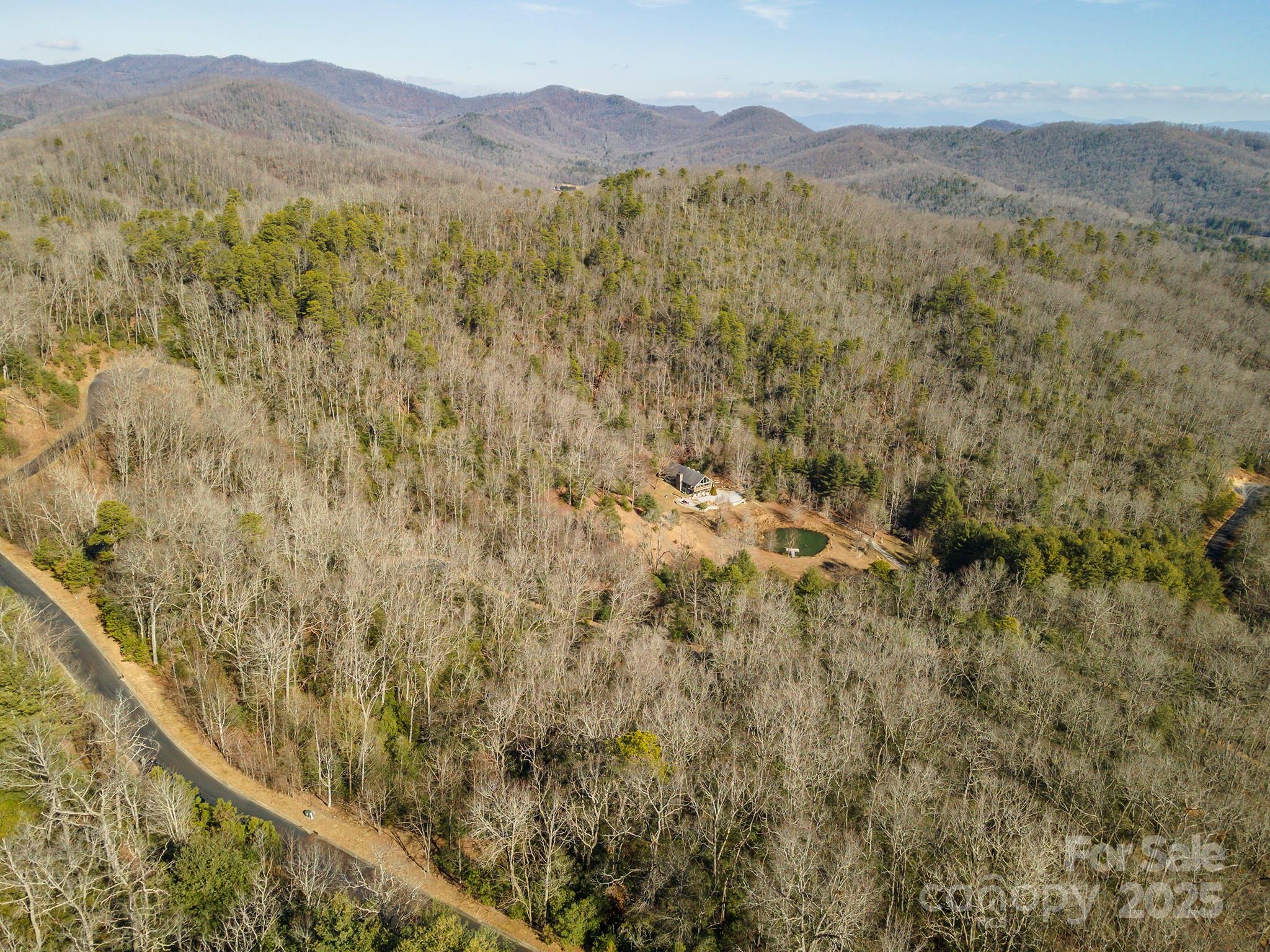 99999 Mills River Way Horse Shoe NC 28742