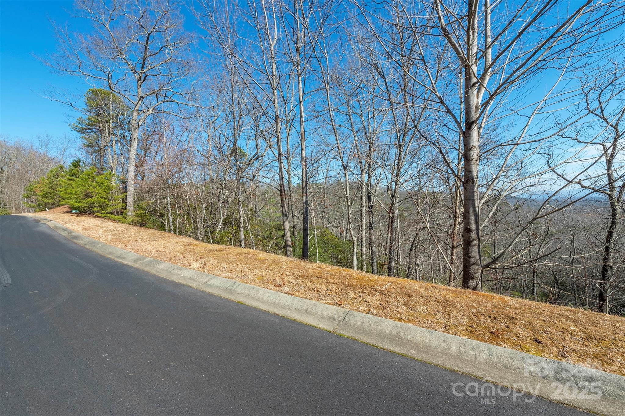 99999 Mills River Way Horse Shoe NC 28742