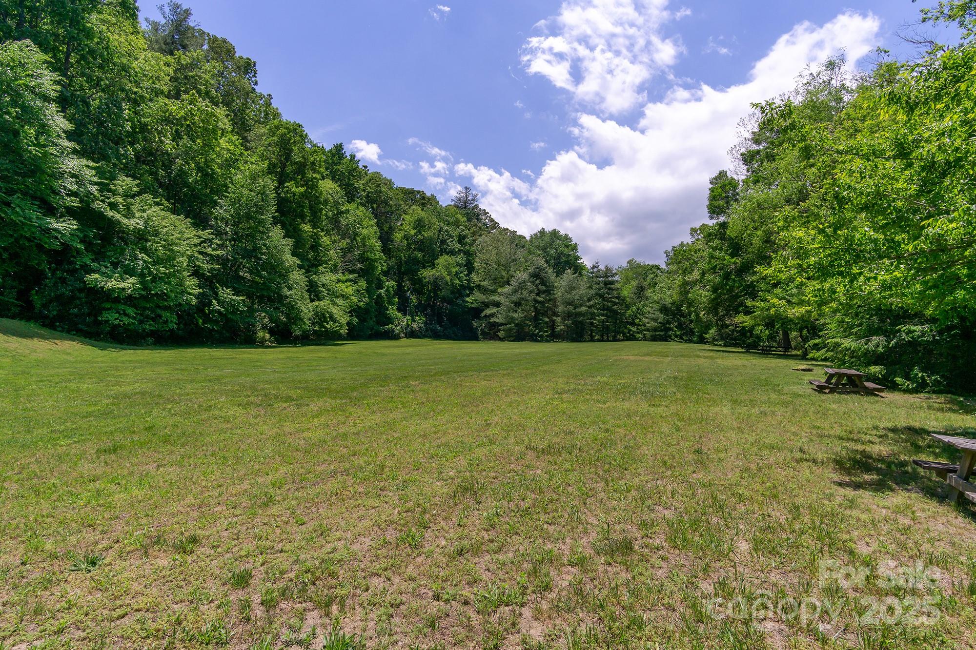 99999 Mills River Way Horse Shoe NC 28742