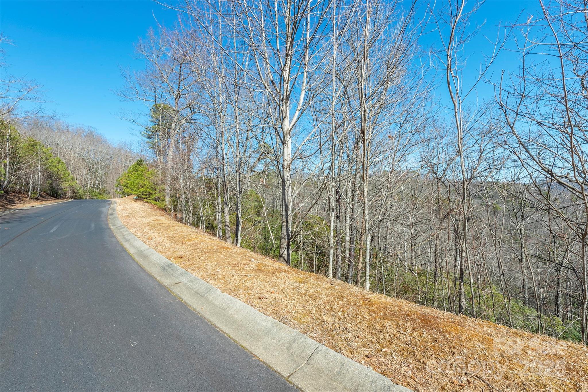 99999 Mills River Way Horse Shoe NC 28742