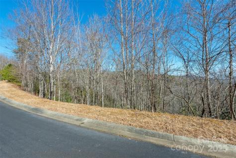 99999 Mills River Way Horse Shoe NC 28742