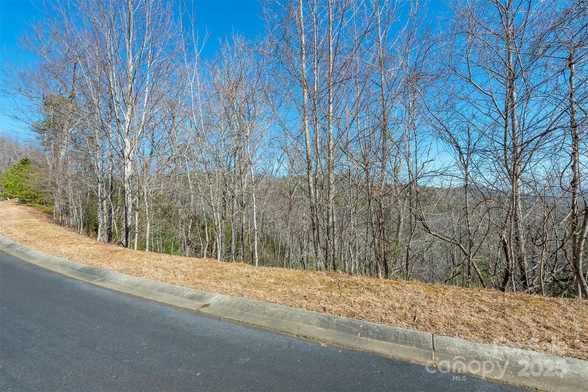 99999 Mills River Way Horse Shoe NC 28742