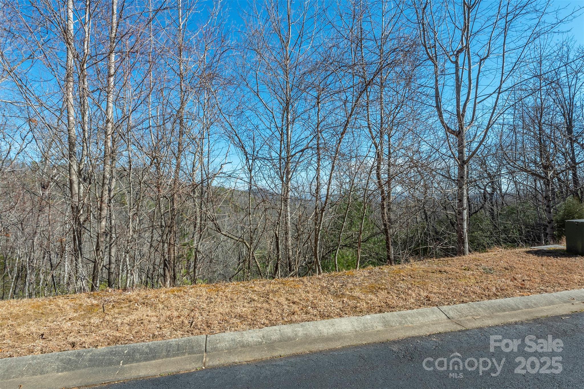 99999 Mills River Way Horse Shoe NC 28742