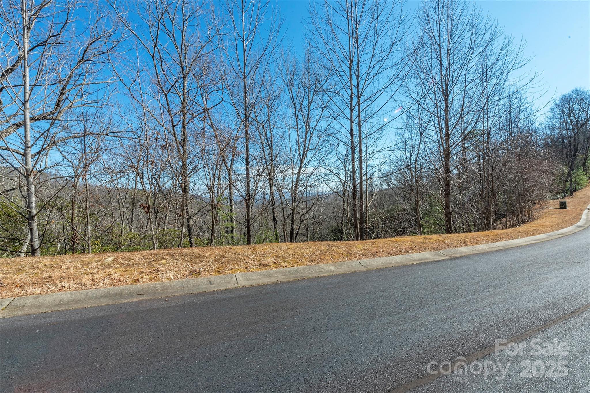 99999 Mills River Way Horse Shoe NC 28742