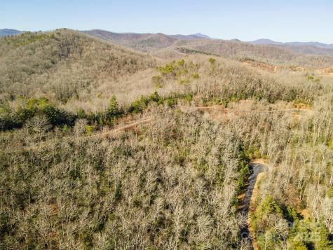 99999 Mills River Way Horse Shoe NC 28742