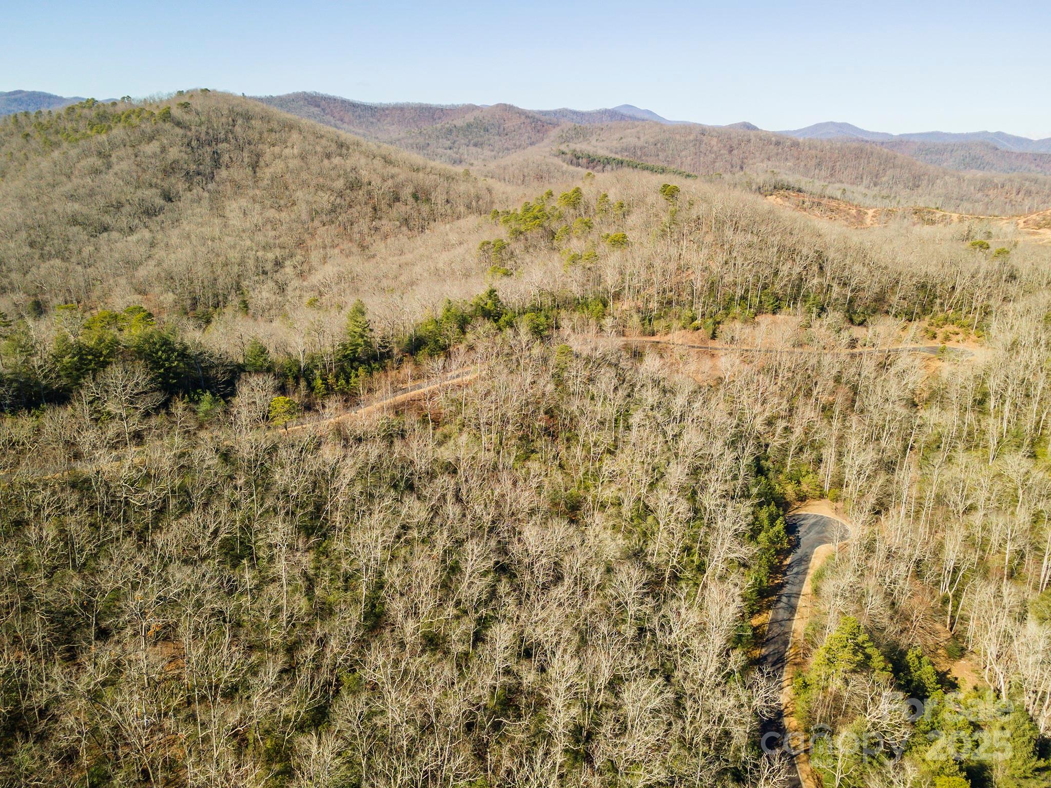 99999 Mills River Way Horse Shoe NC 28742