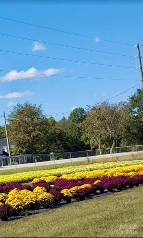 32544 Highway 9 Highway Pageland SC 29728