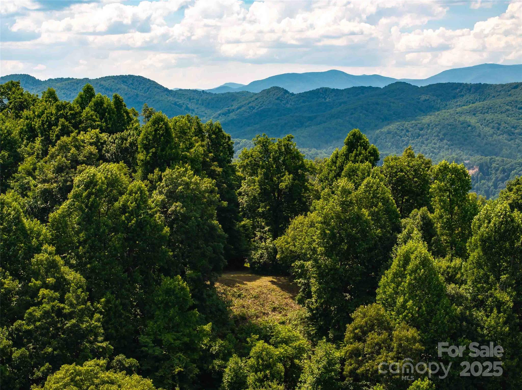 2957 Creston Drive Black Mountain NC 28711
