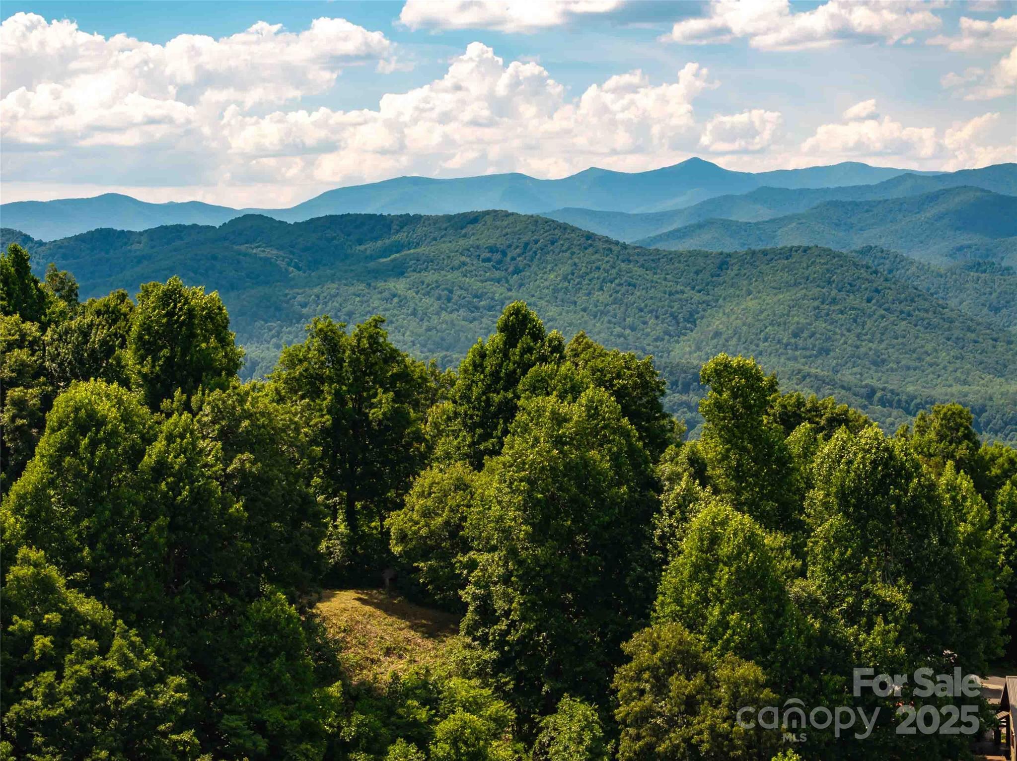 2957 Creston Drive Black Mountain NC 28711
