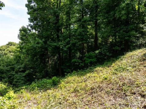 2957 Creston Drive Black Mountain NC 28711