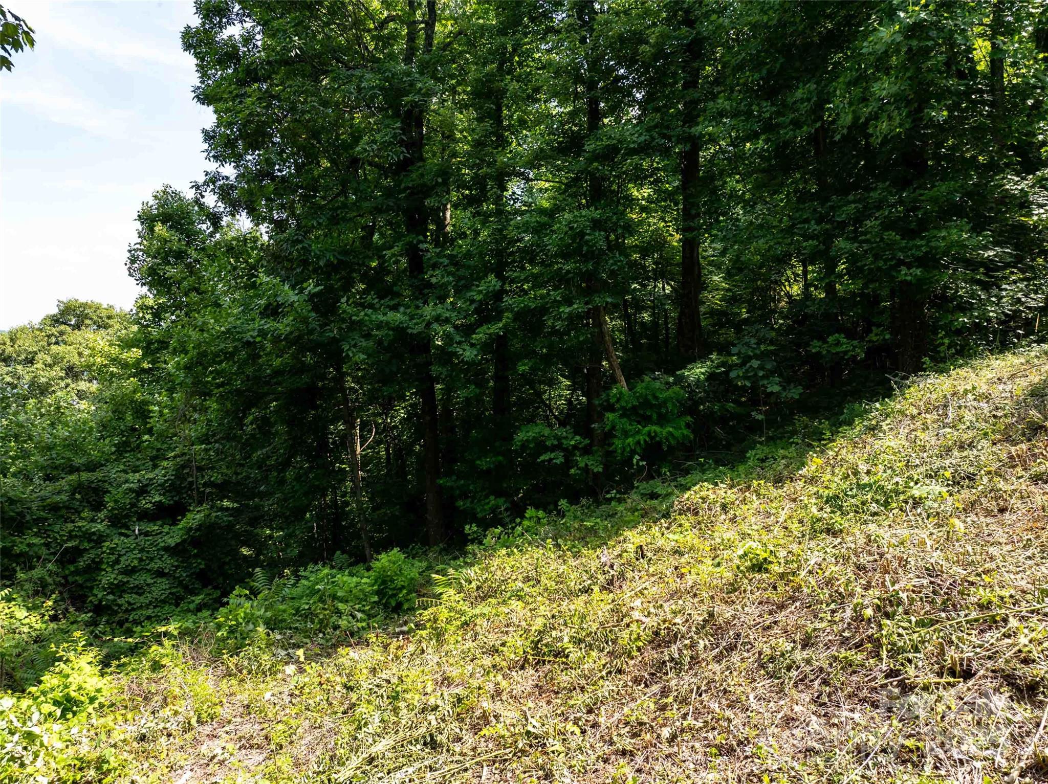 2957 Creston Drive Black Mountain NC 28711