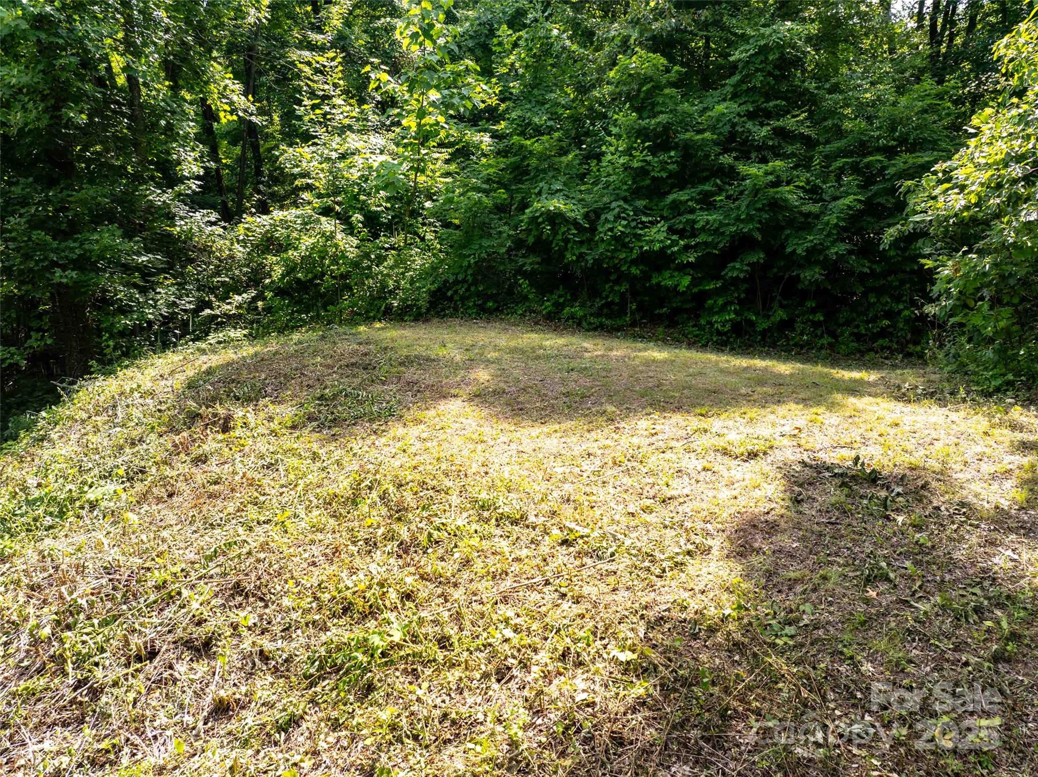 2957 Creston Drive Black Mountain NC 28711