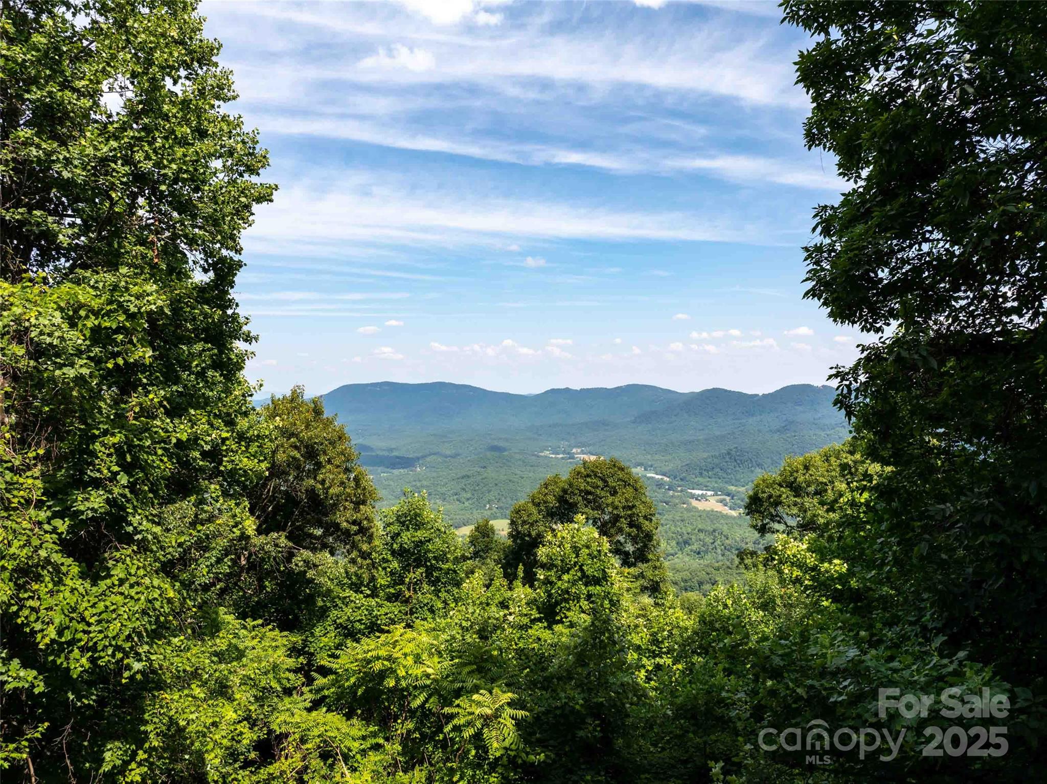 2957 Creston Drive Black Mountain NC 28711