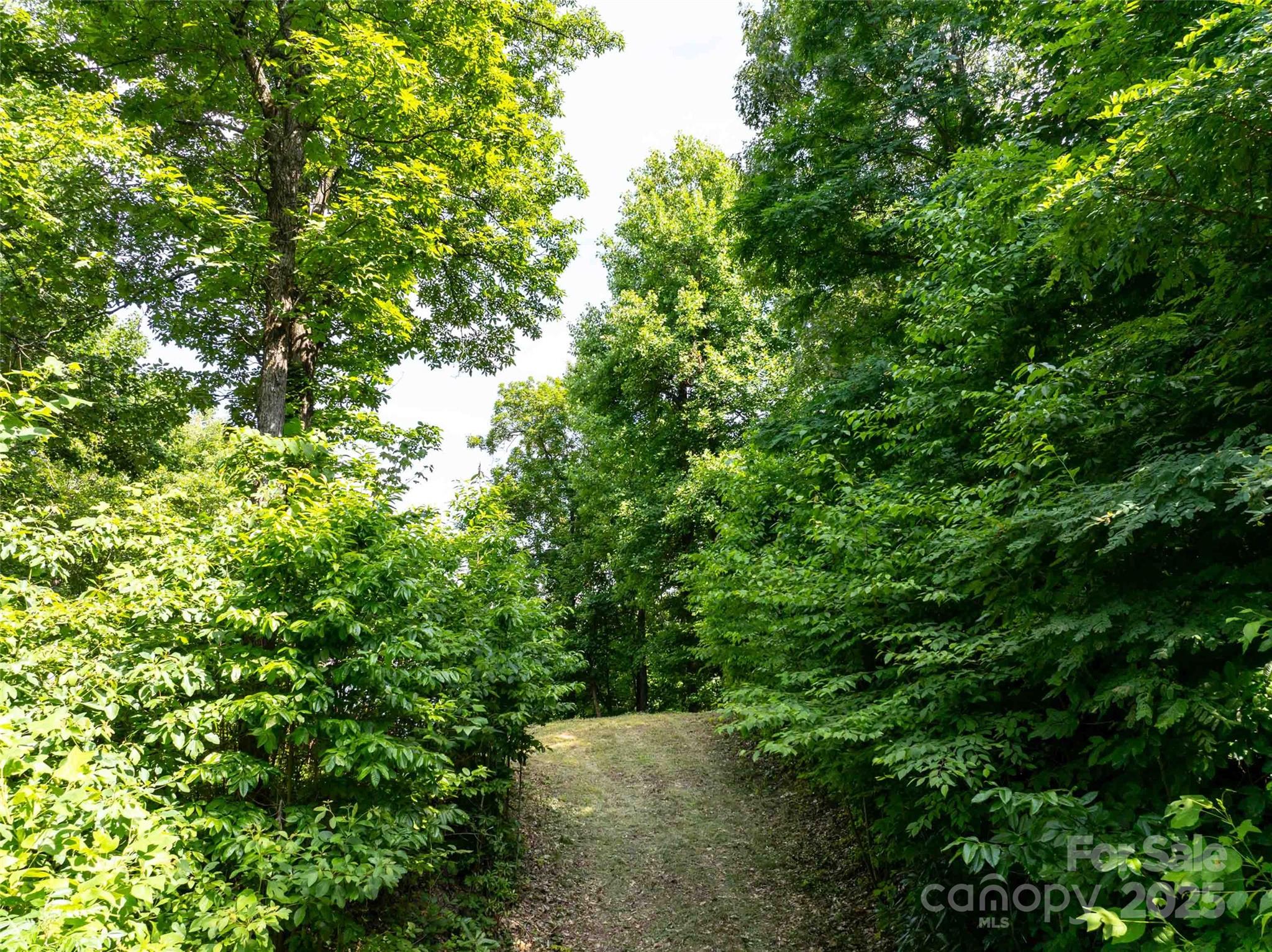 2957 Creston Drive Black Mountain NC 28711