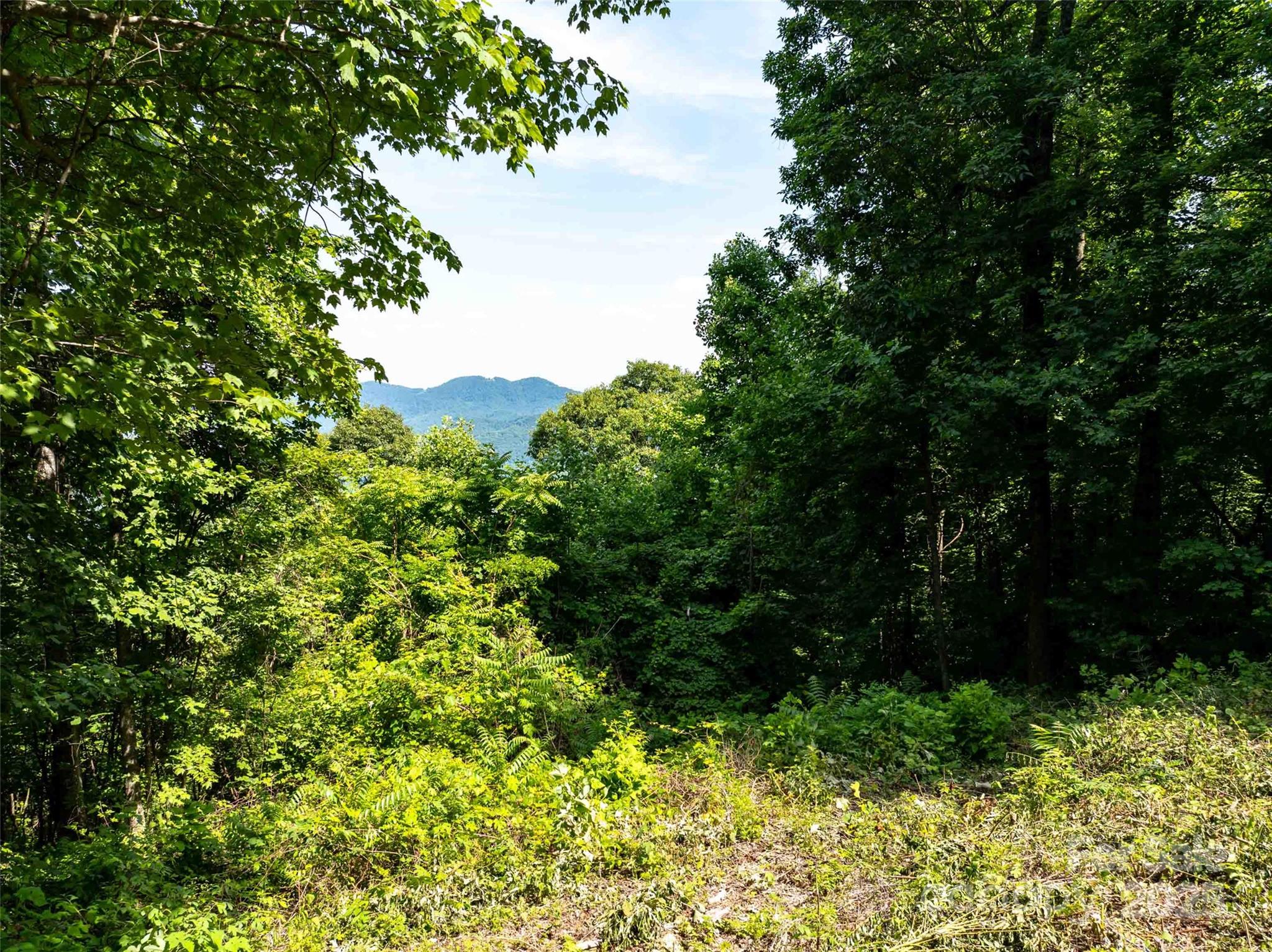 2957 Creston Drive Black Mountain NC 28711