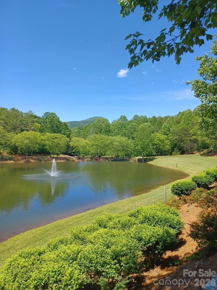 106 Cornell Circle Lake Lure NC 28746