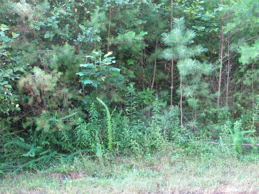 54 Country Cove Court Leicester NC 28748
