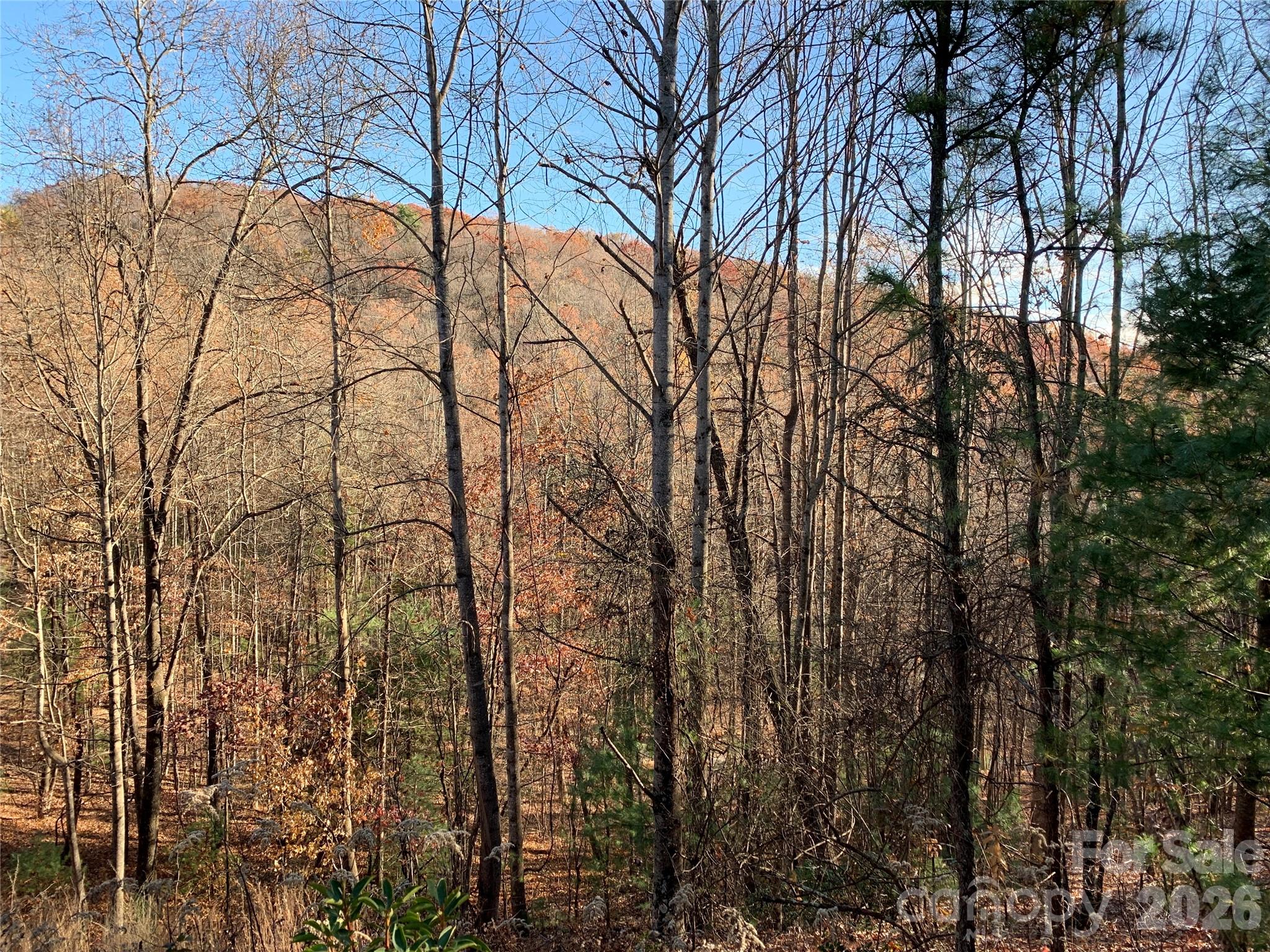 Tbd (Lot 4) Wolf Den Lane Lenoir NC 28645