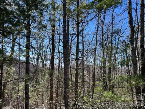 Tbd (Lot 4) Wolf Den Lane Lenoir NC 28645