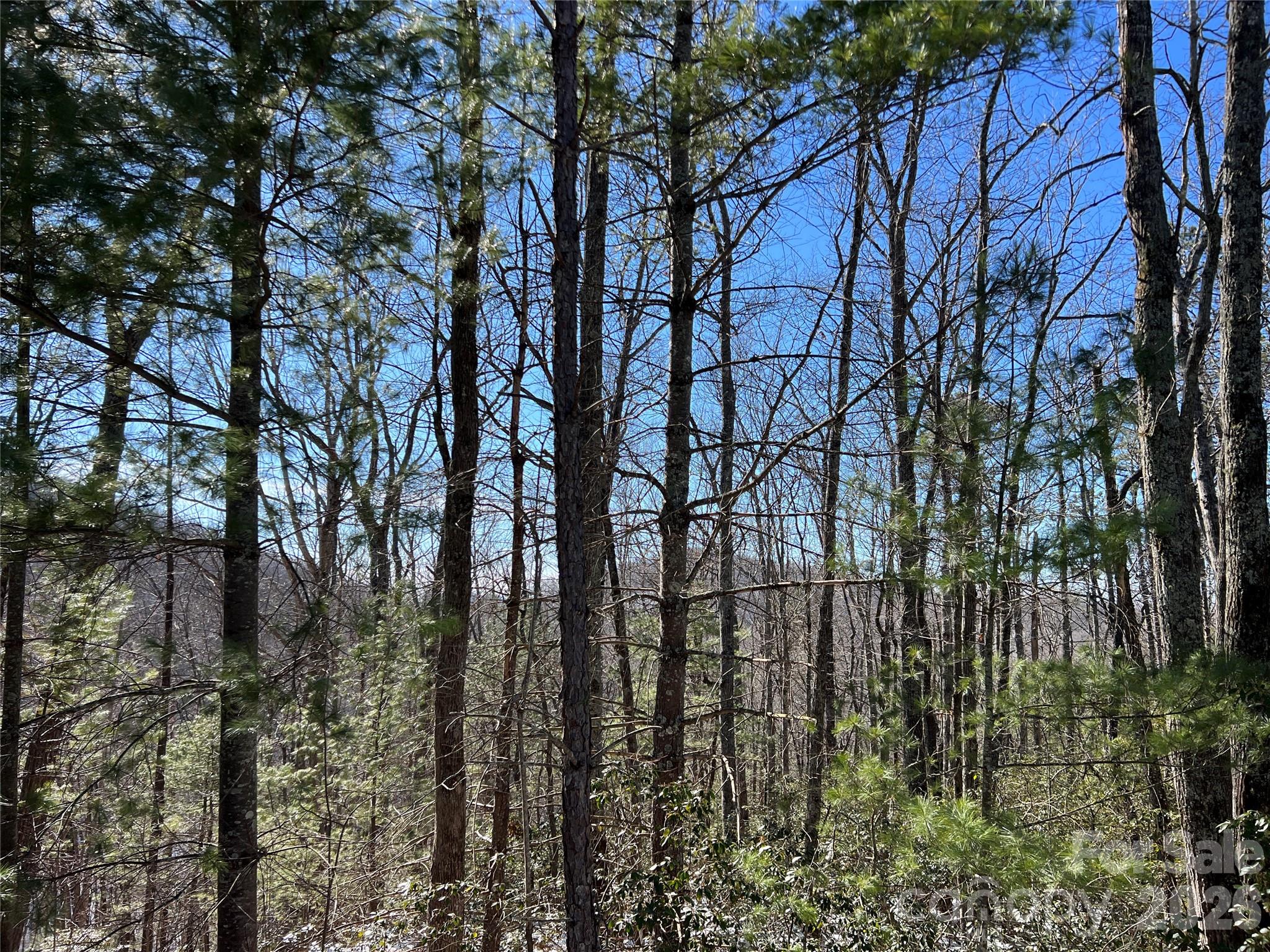 Tbd (Lot 4) Wolf Den Lane Lenoir NC 28645