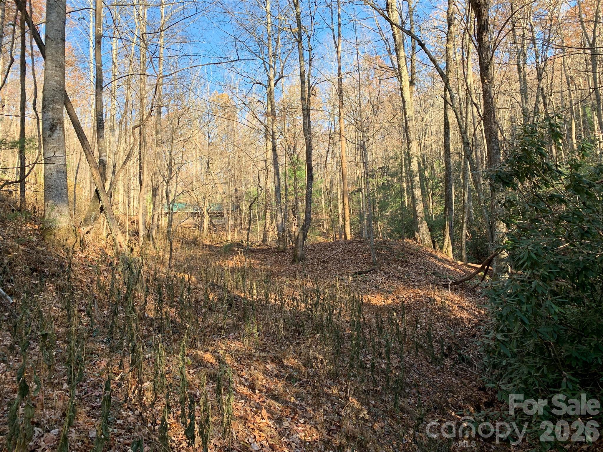 Tbd (Lot 4) Wolf Den Lane Lenoir NC 28645