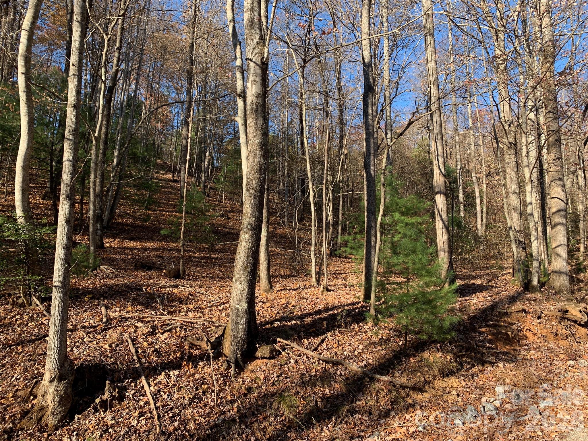 Tbd (Lot 4) Wolf Den Lane Lenoir NC 28645