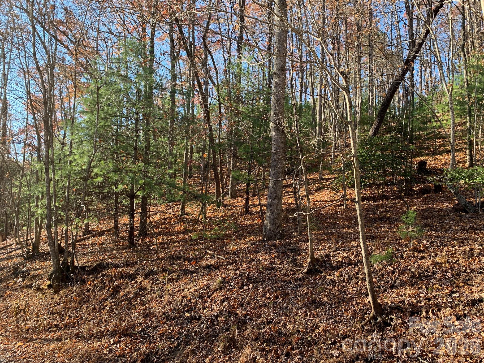 Tbd (Lot 4) Wolf Den Lane Lenoir NC 28645