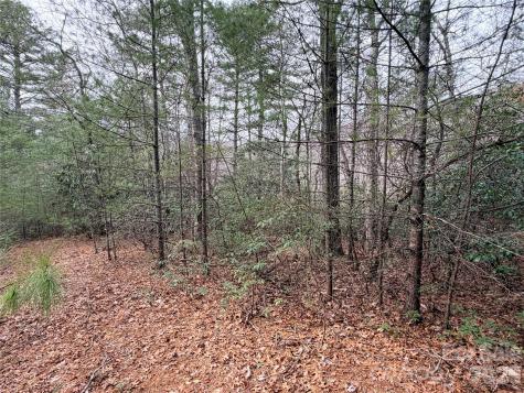 Tbd (Lot 4) Wolf Den Lane Lenoir NC 28645