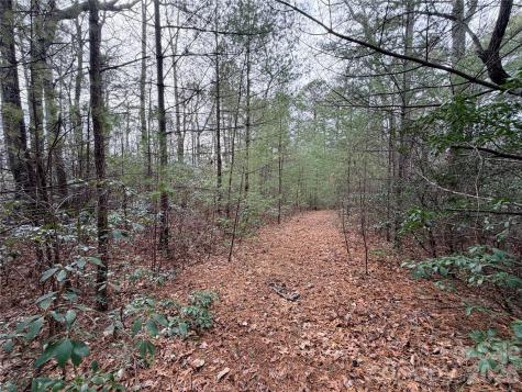 Tbd (Lot 4) Wolf Den Lane Lenoir NC 28645