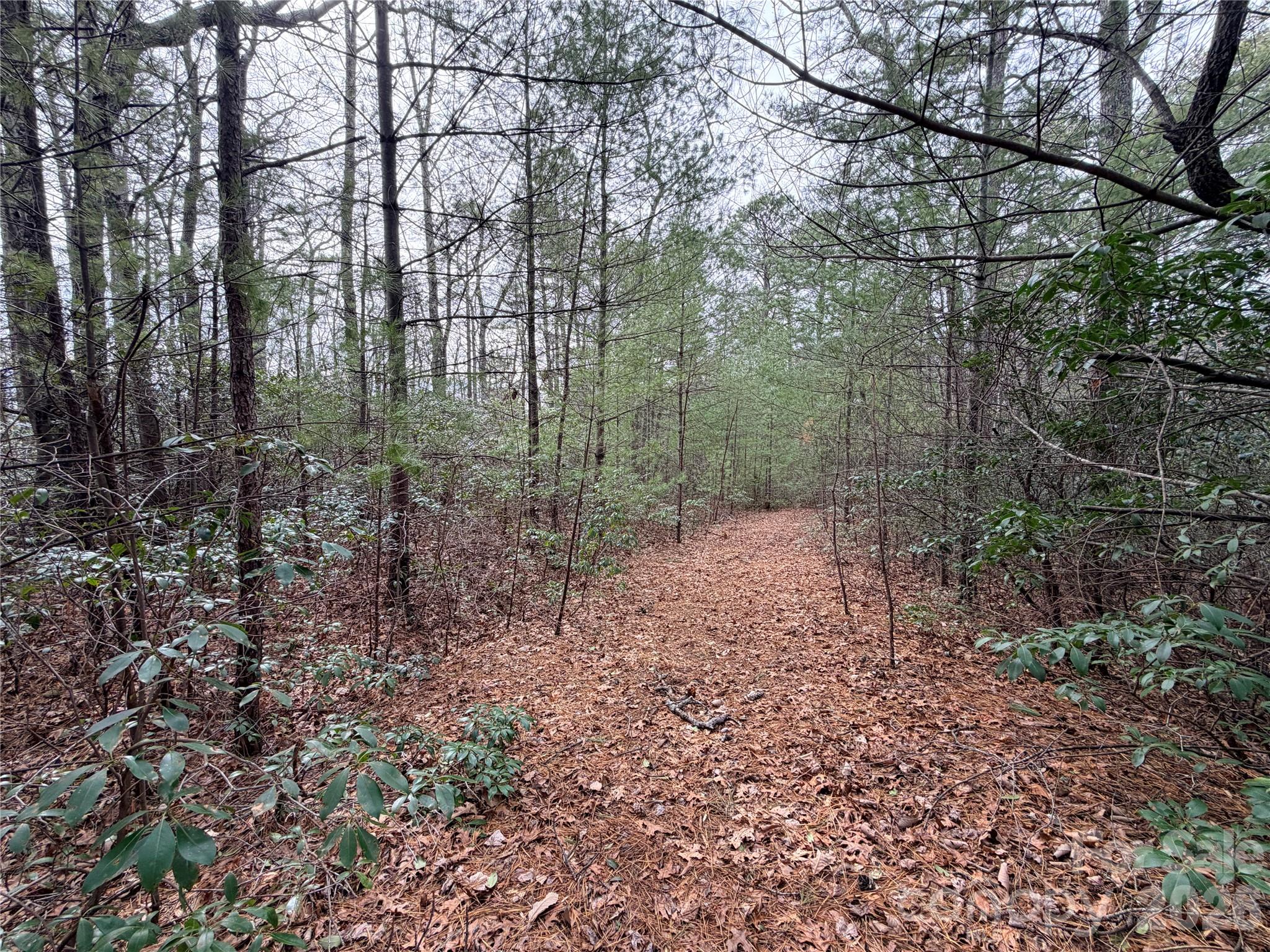 Tbd (Lot 4) Wolf Den Lane Lenoir NC 28645